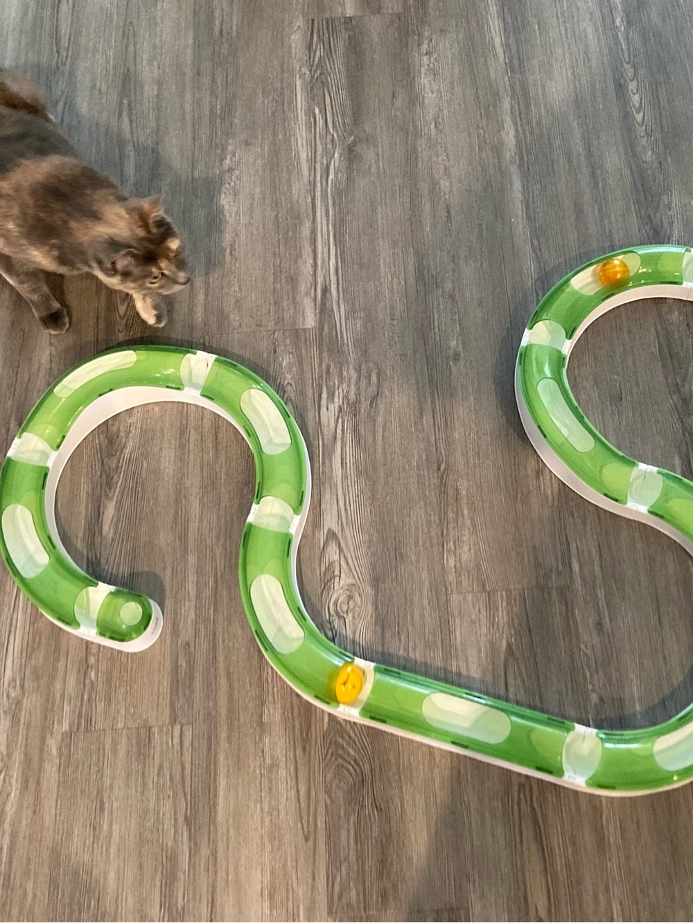 Interactive Cat Track Toy - 14 Piece Set